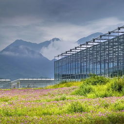 武功山.花澗里現(xiàn)代農(nóng)業(yè)觀光園開(kāi)園儀式順利舉辦 內(nèi)附大量美圖