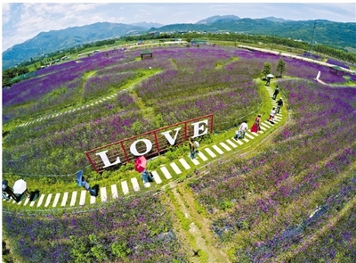 浙江日?qǐng)?bào)