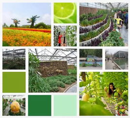 超詳細(xì)的農(nóng)業(yè)公園概念及規(guī)劃方法 ppt