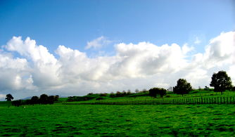 全球九大休閑農業的主要模式和發展趨勢