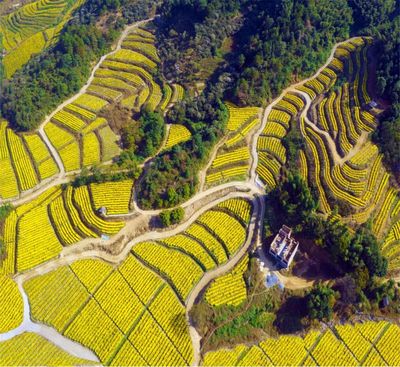 宜春明月山溫湯鎮:在鄉村振興路上走出新&ldquo;硒&rdquo;望