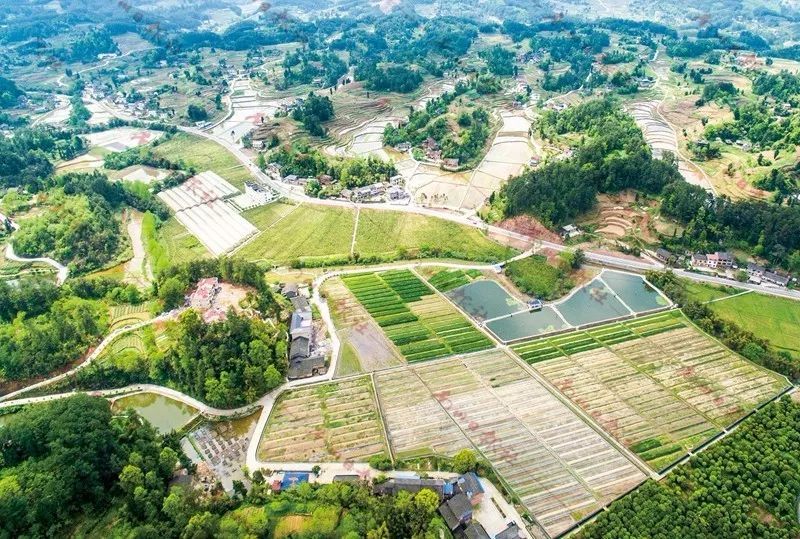 南川!南川!相生相伴,我越來越愛你&hellip;