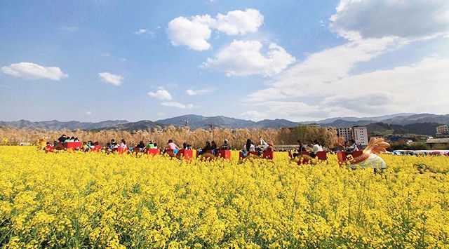 2019年休閑農(nóng)業(yè)與鄉(xiāng)村旅游業(yè)如何推進發(fā)展?