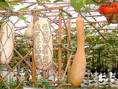 煙臺本地人告訴你開發(fā)區(qū)、福山區(qū)、牟平區(qū)有什么好玩