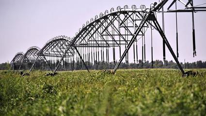 西部大開發10周年:設施農業促內蒙古成為&ldquo;天下糧倉&rdquo;