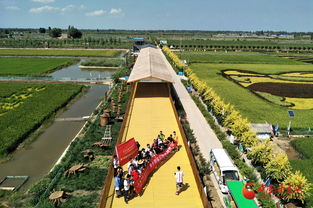 寧夏稻漁空間示范帶動全區 農業 旅游 經濟發展