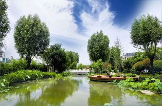 中牟縣雁鳴湖鎮 旅游 農業 生態 融合發展 繪就全域旅游 新畫卷