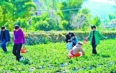 見(jiàn)證發(fā)展!&ldquo;數(shù)&rdquo;說(shuō)仁和區(qū)改革開(kāi)放40年的經(jīng)濟(jì)社會(huì)發(fā)展成就