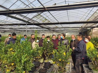 外出實(shí)踐學(xué)習(xí),助推鄉(xiāng)村振興