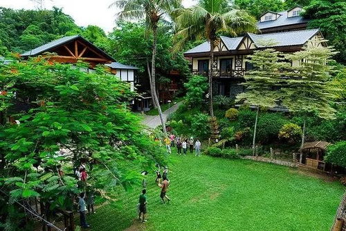 休閑農(nóng)業(yè) 特色小鎮(zhèn)如何規(guī)劃設(shè)計(jì)與開(kāi)發(fā)