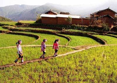 鄉(xiāng)村旅游開發(fā)中的問題分析