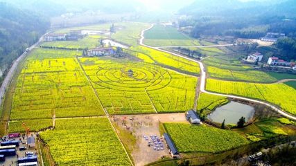 【特別關注】深耕兩年,六安這個區孕育出&ldquo;美麗經濟&rdquo;