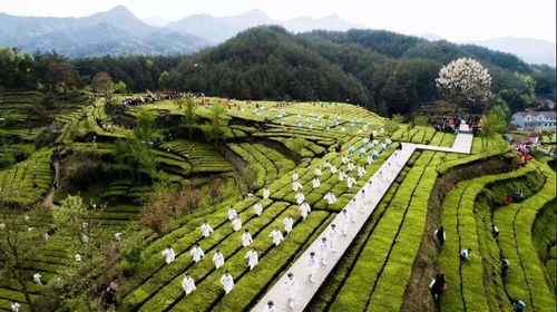 劉力 疫情對文旅行業發展帶來的改變