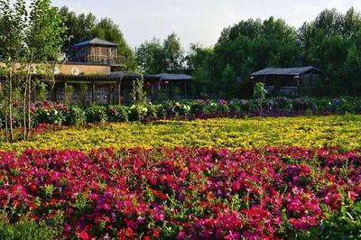 休閑農業旅游規劃的模式與核心要求