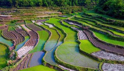 洛江農業旅游開發 適合的模式分析與展望