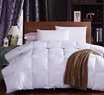 秋冬季加厚超柔纖羽柔絲被 廠家直供，團(tuán)購批發(fā)優(yōu)選